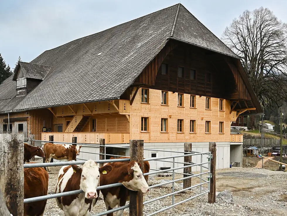 Sanierung Bauernhaus